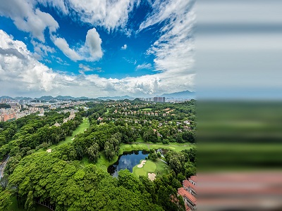 第43个植树节来了！我国国土绿化成效如何？来看→