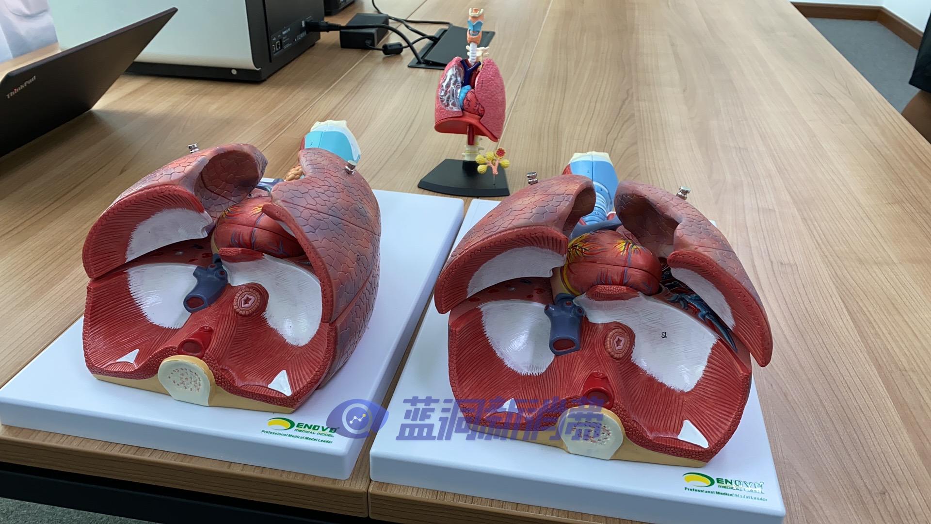 ED97B785-683E-41BD-9F70-25F9A3B27C3D.jpeg ED97B785-683E-41BD-9F70-25F9A3B27C3D.jpeg